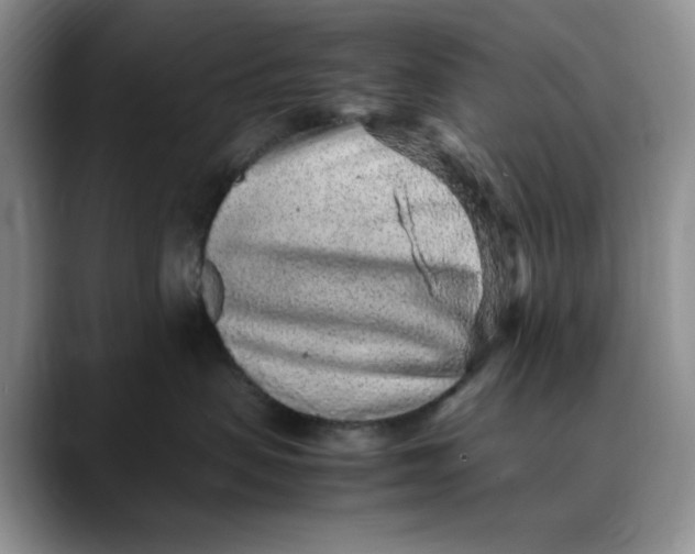 X0000088420479200706121436
