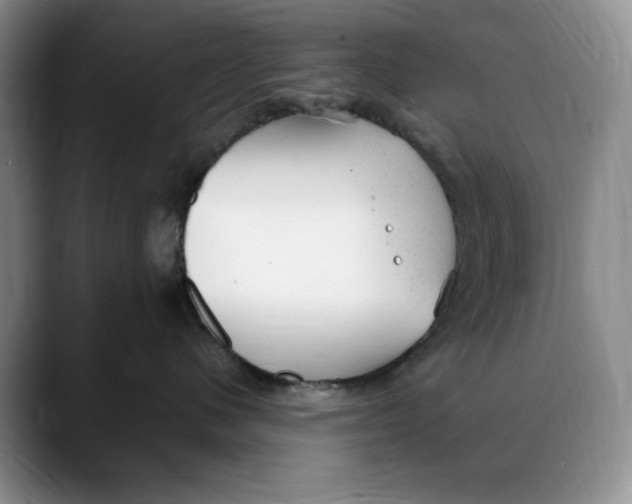 X0000088420480200706121436