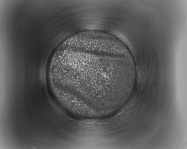 X0000088420482200706121435