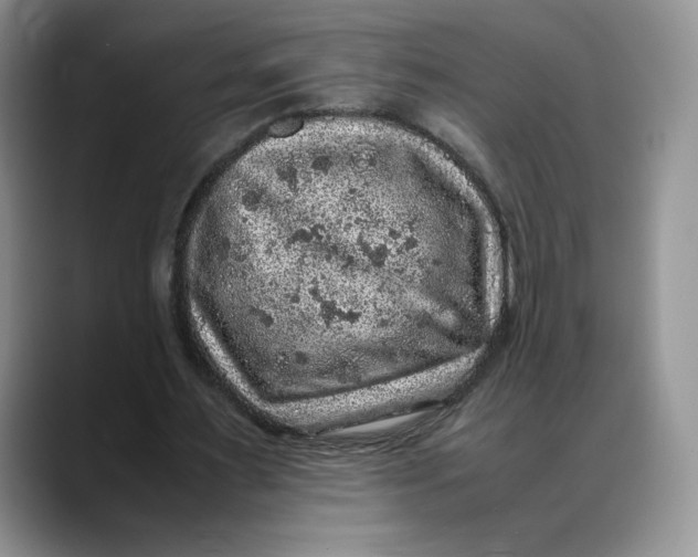 X0000088420483200706121435