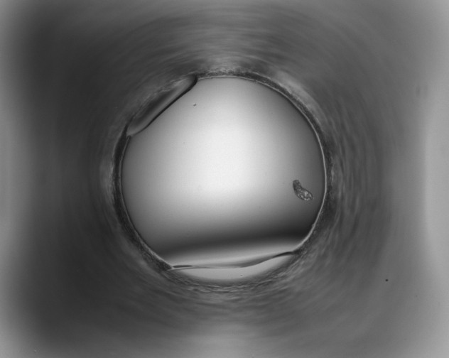 X0000088420485200706121435