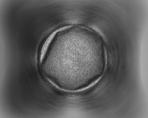 X0000088420486200706121435