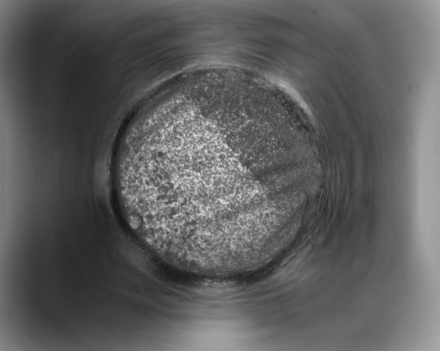 X0000088420487200706121435