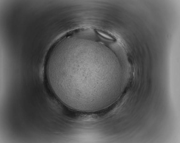 X0000088420488200706121435