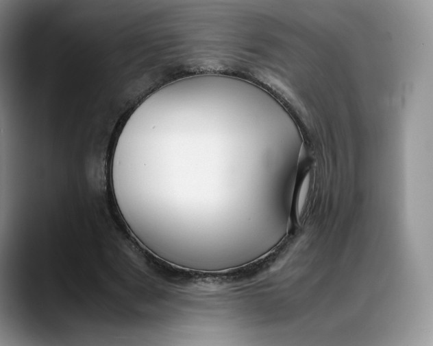X0000088420489200706121435