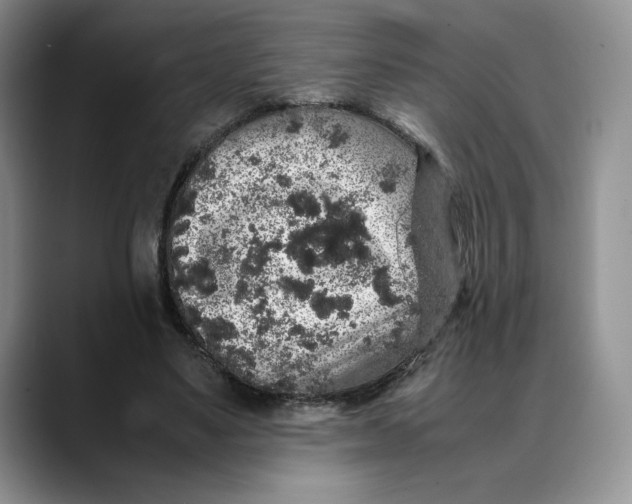 X0000088420491200706121435