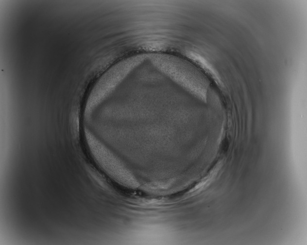 X0000088420493200706121435