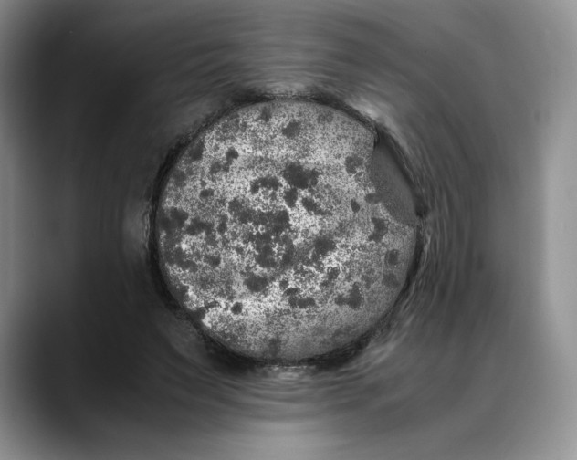 X0000088420495200706121435