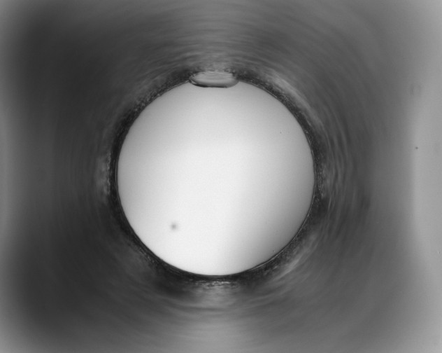 X0000088420497200706121435