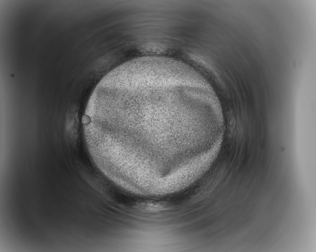 X0000088420498200706121435