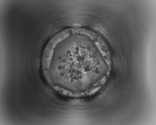 X0000088420499200706121435