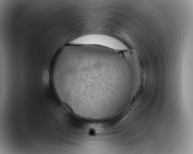 X0000088420500200706121435