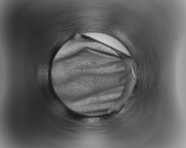 X0000088420501200706121435