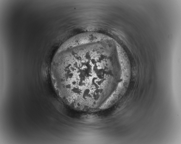 X0000088420503200706121435