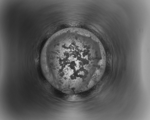 X0000088420507200706121435