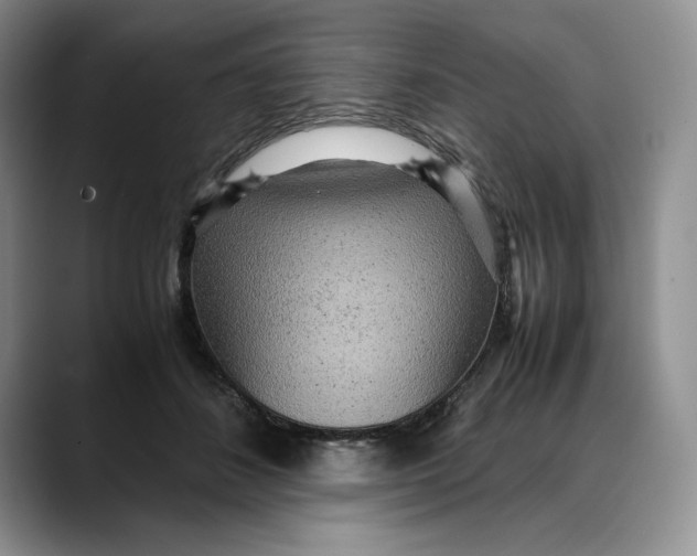 X0000088420508200706121435