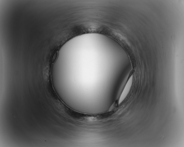 X0000088420509200706121435
