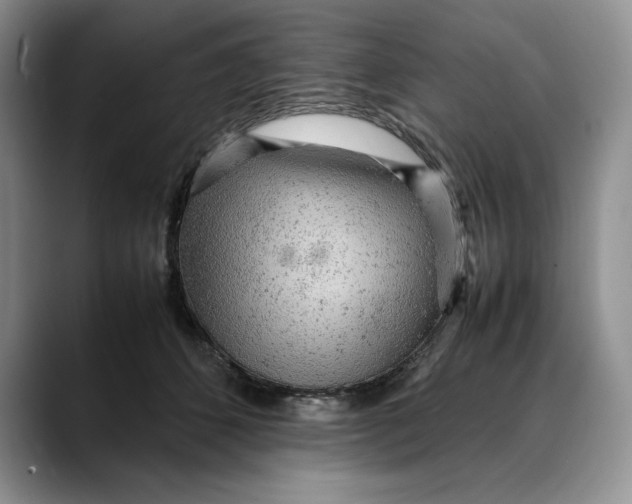 X0000088420512200706121435
