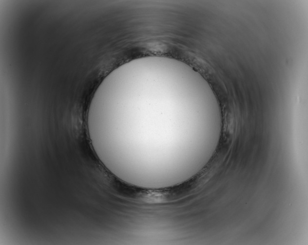 X0000088420518200706121435