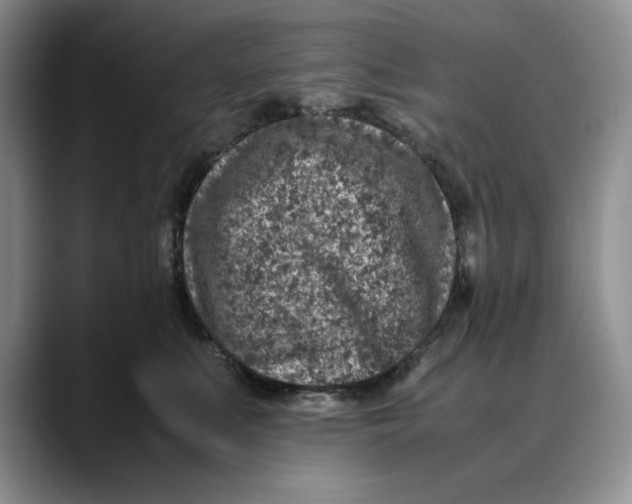 X0000088420519200706121435