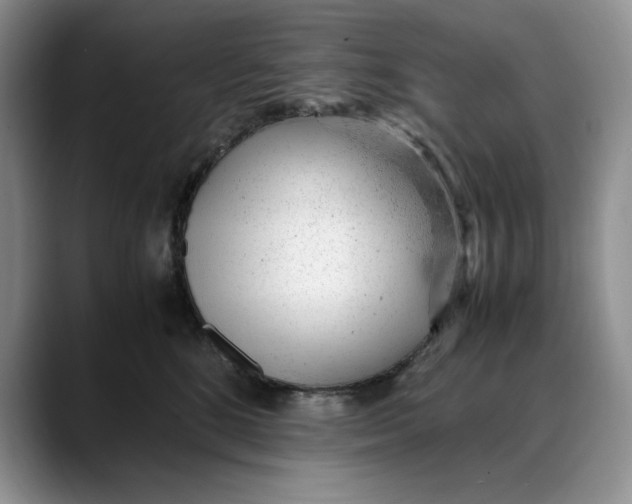 X0000088420520200706121435
