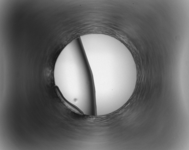 X0000088420521200706121435