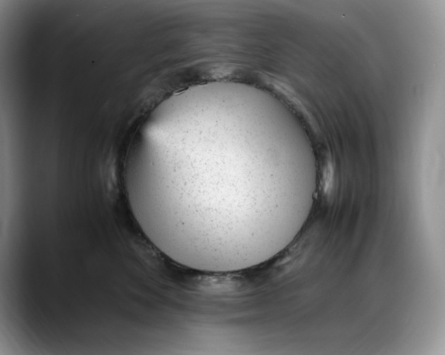 X0000088420524200706121435