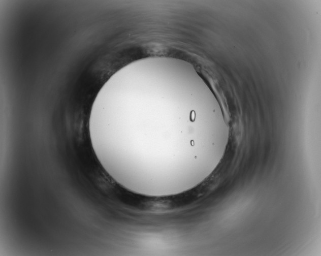 X0000088420525200706121435