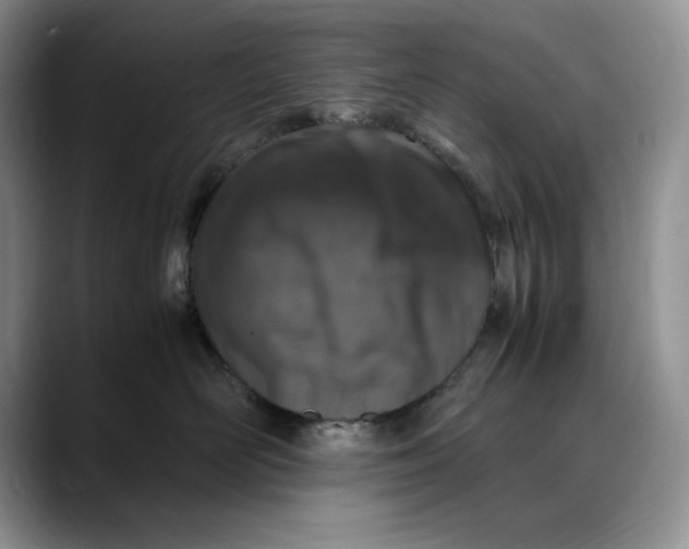X0000088420526200706121435