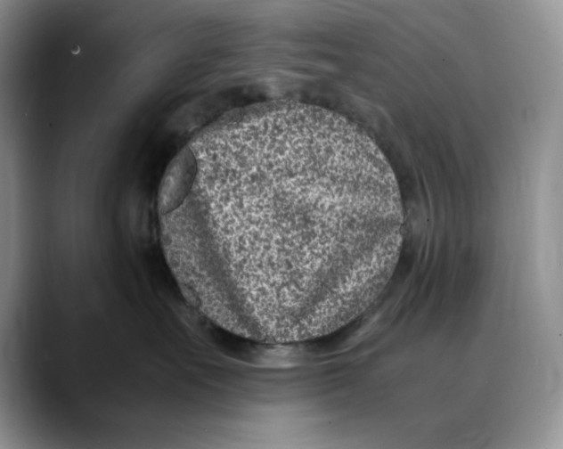 X0000088420527200706121435