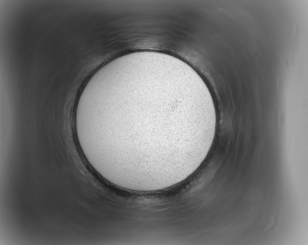 X0000088420529200706121434