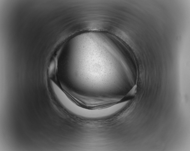 X0000088420530200706121434
