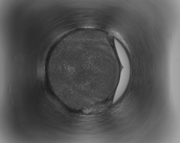 X0000088420531200706121434