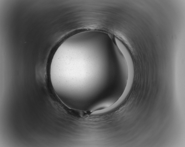 X0000088420532200706121434
