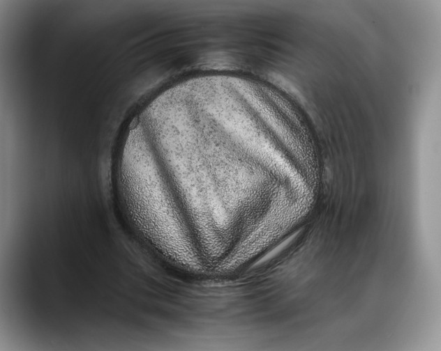 X0000088420535200706121434