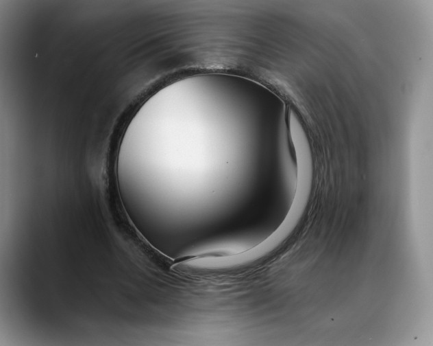 X0000088420536200706121434