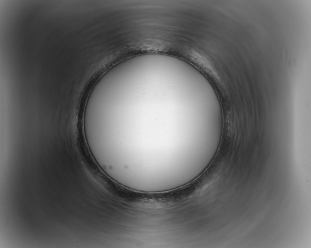X0000088420538200706121434