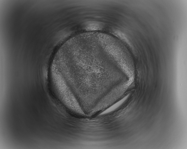 X0000088420539200706121434