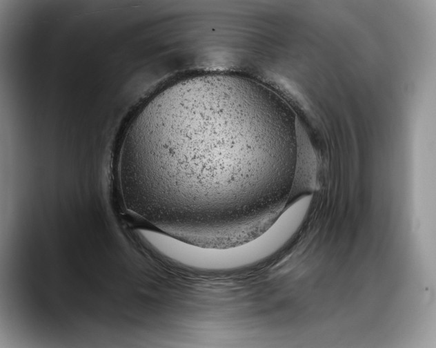 X0000088420540200706121434