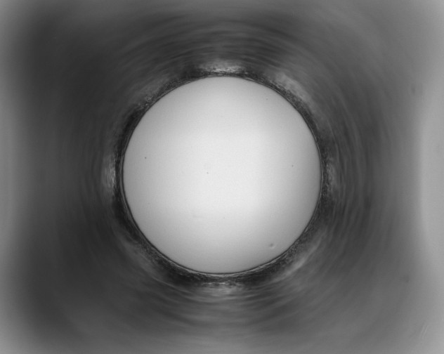 X0000088420541200706121434