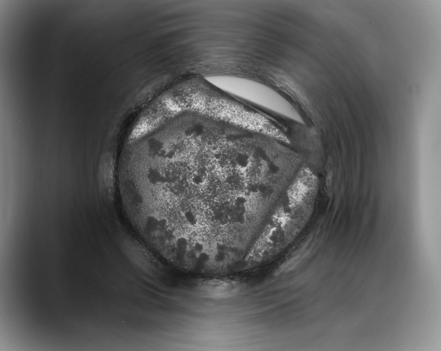 X0000088420542200706121434