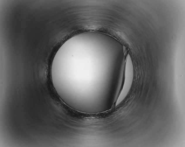 X0000088420544200706121434