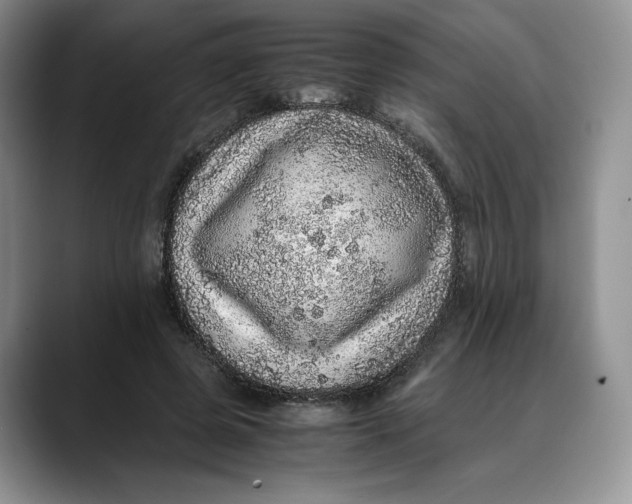 X0000088420545200706121434