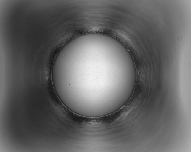 X0000088420546200706121434