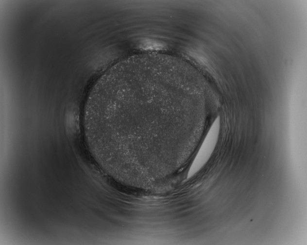 X0000088420547200706121434