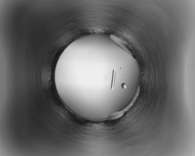 X0000088420548200706121434