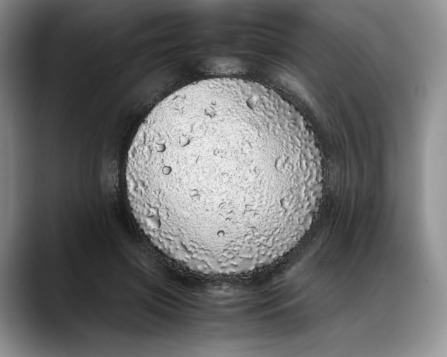 X0000088420549200706121434