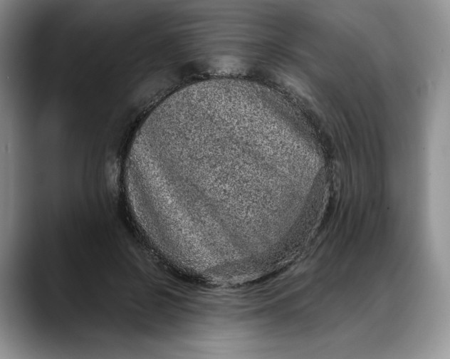 X0000088420550200706121434
