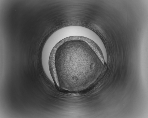 X0000088420552200706121434