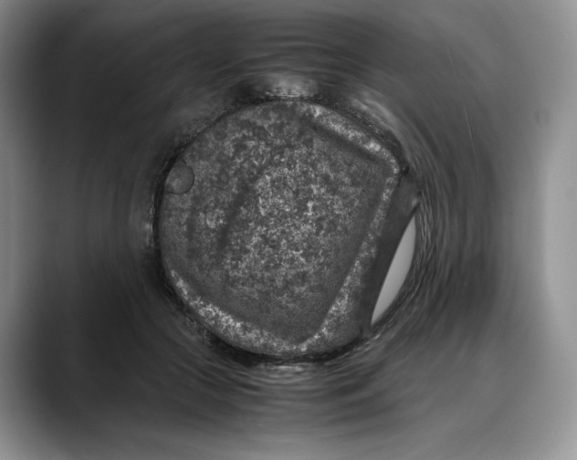 X0000088420553200706121434
